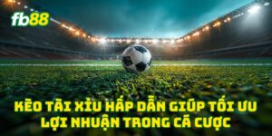 Kèo Tài Xỉu hấp dẫn giúp tối ưu lợi nhuận trong cá cược