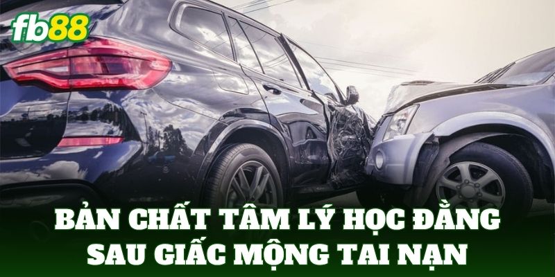 Bản chất tâm lý học đằng sau giấc mộng va chạm phương tiện