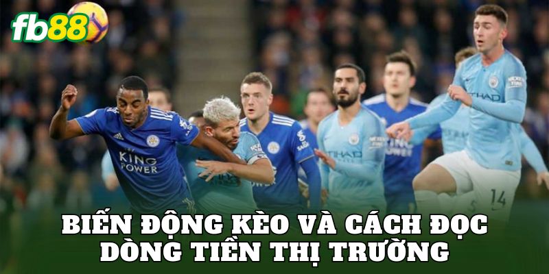 Biến động kèo và cách đọc dòng tiền thị trường