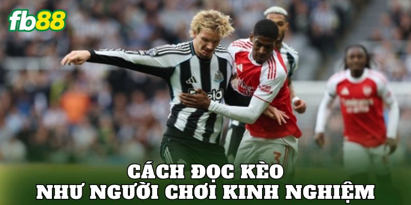 Cách đọc kèo như người chơi kinh nghiệm