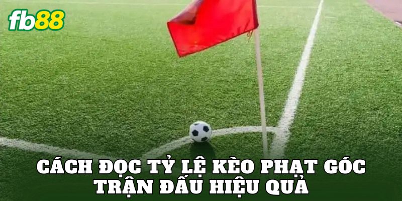 Cách đọc tỷ lệ kèo phạt góc trận đấu hiệu quả