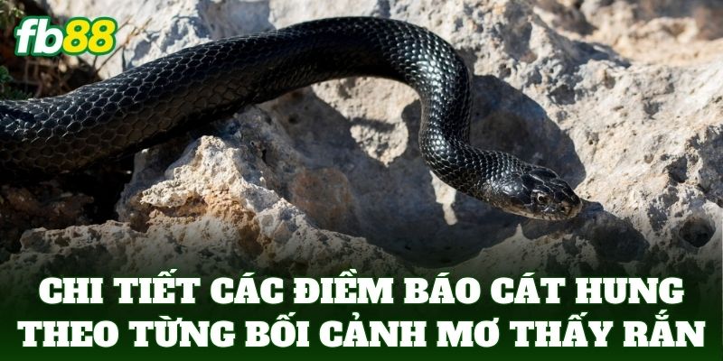 Chi tiết các điềm báo cát hung theo từng bối cảnh mơ thấy rắn