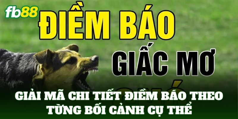 Giải mã chi tiết điềm báo theo từng bối cảnh cụ thể