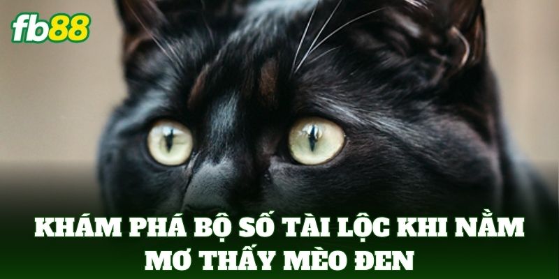 Khám phá bộ số tài lộc khi Nằm Mơ Thấy Mèo Đen