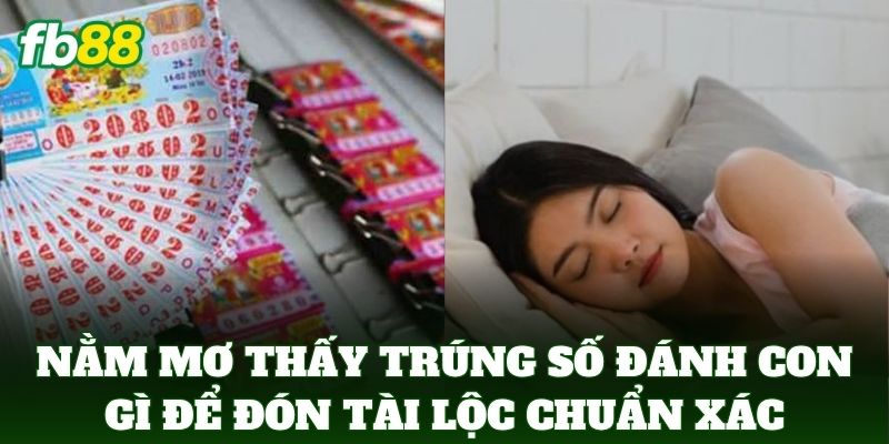 Nằm Mơ Thấy Trúng Số đánh con gì để đón tài lộc chuẩn xác