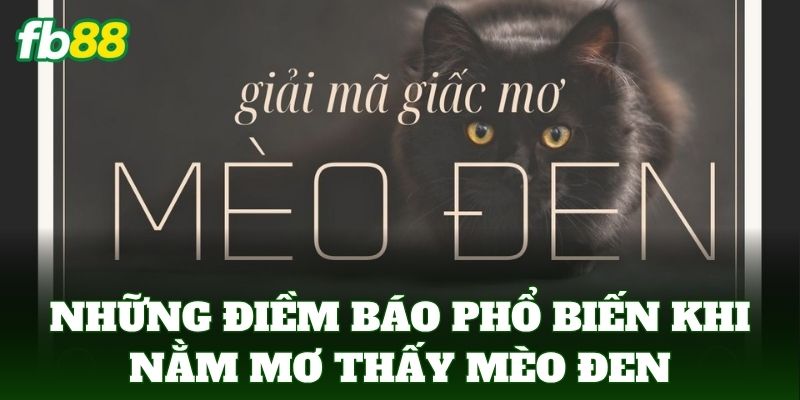 Những điềm báo phổ biến khi Nằm Mơ Thấy Mèo Đen