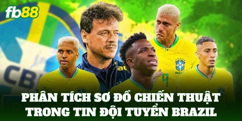 Phân tích sơ đồ chiến thuật trong Tin Đội Tuyển Brazil