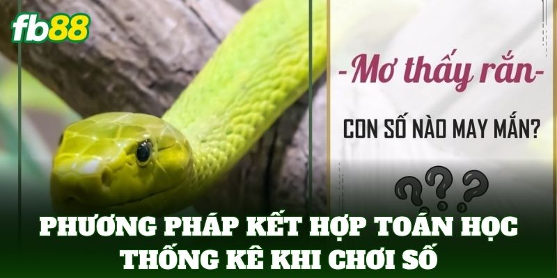 Phương pháp kết hợp toán học thống kê khi chơi số