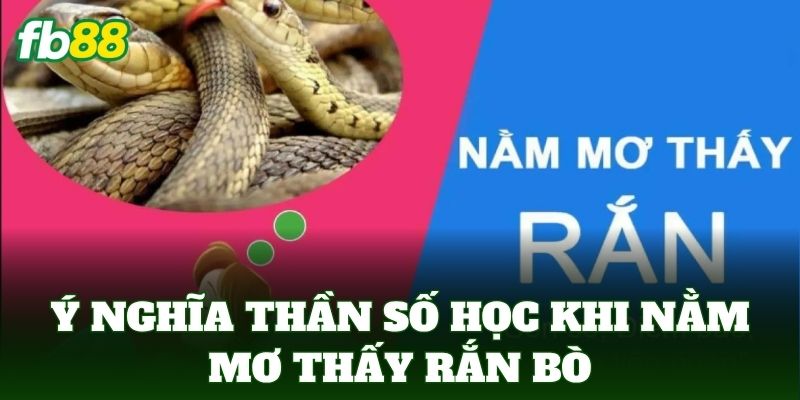 Ý nghĩa thần số học khi Nằm Mơ Thấy Rắn Bò