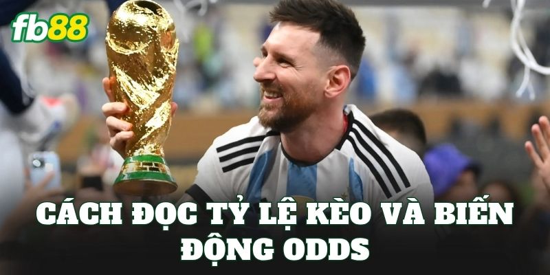 Cách đọc tỷ lệ kèo và biến động odds