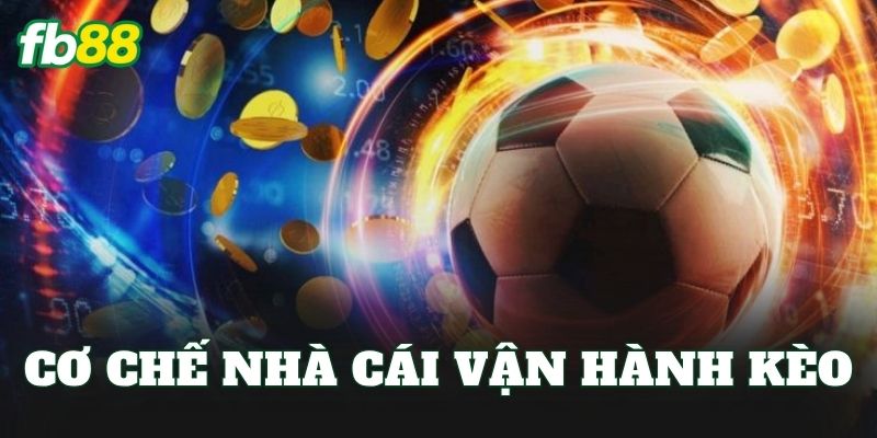 Cơ chế nhà cái vận hành kèo