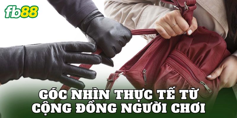 Góc nhìn thực tế từ cộng đồng người chơi