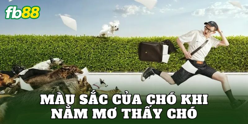 Màu sắc của chó khi nằm mơ thấy chó