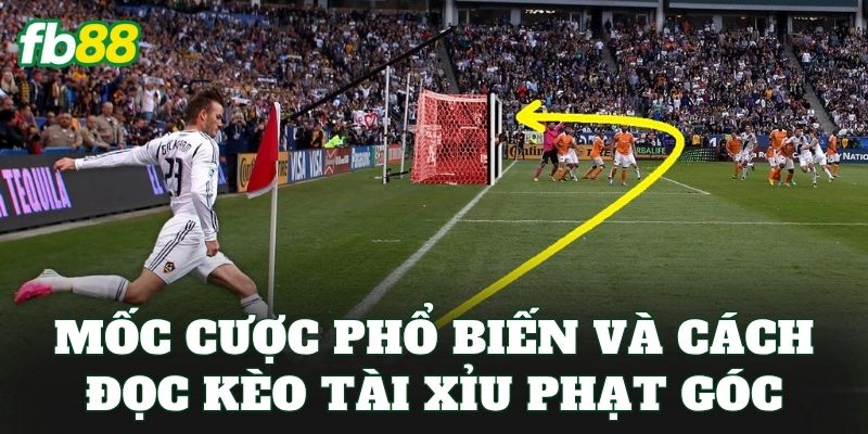 Mốc cược phổ biến và cách đọc kèo tài xỉu phạt góc
