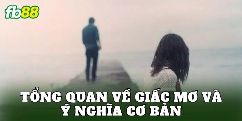 Tổng quan về giấc mơ và ý nghĩa cơ bản