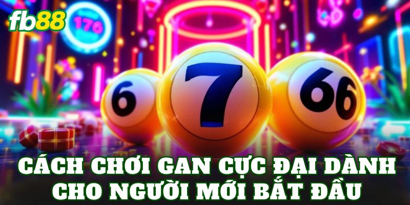 Cách chơi gan cực đại dành cho người mới bắt đầu