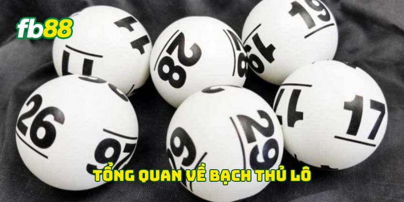 Tổng quan về bạch thủ lô