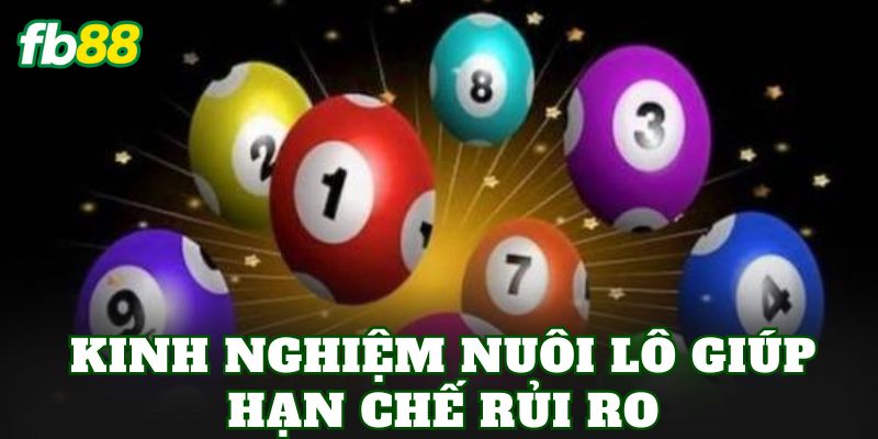 Kinh nghiệm nuôi lô giúp hạn chế rủi ro