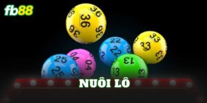 Nuôi Lô