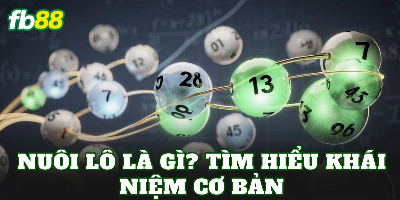 Nuôi lô là gì? Tìm hiểu khái niệm cơ bản