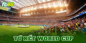 Tứ kết World Cup