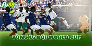 Vòng 16 Đội World Cup
