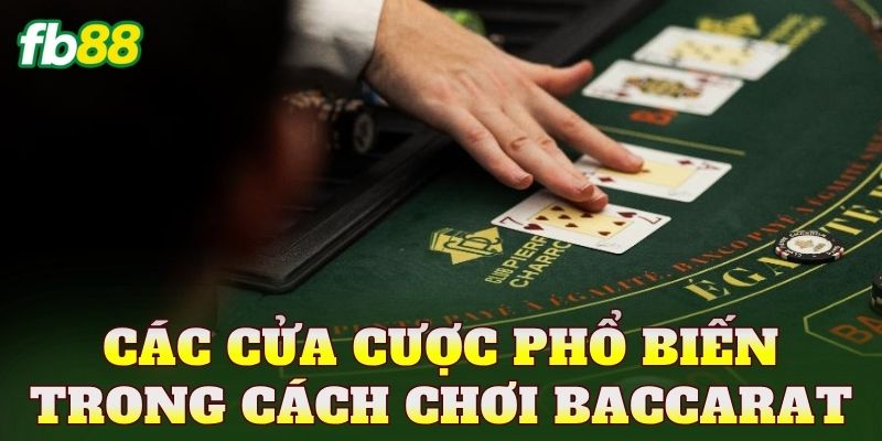 Các cửa cược phổ biến trong cách chơi Baccarat