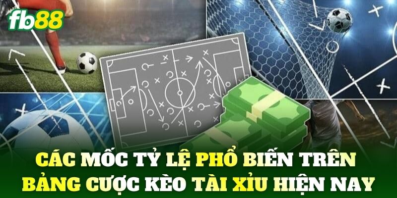 Các mốc tỷ lệ phổ biến trên bảng cược Kèo Tài Xỉu hiện nay