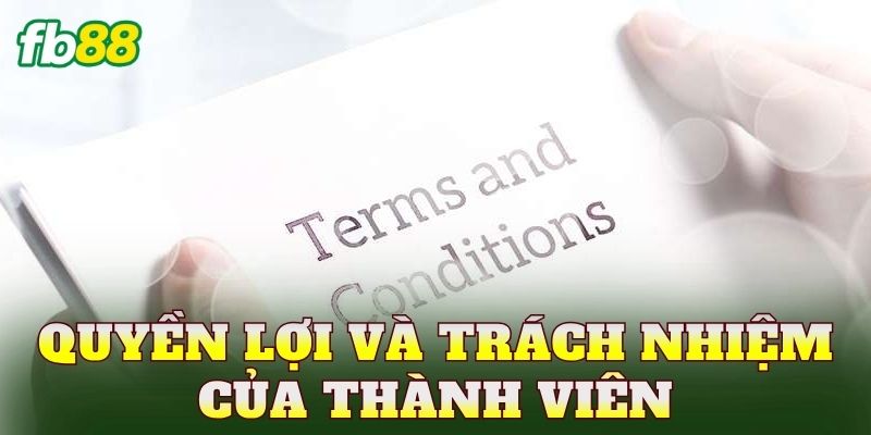 Quyền lợi và trách nhiệm của thành viên