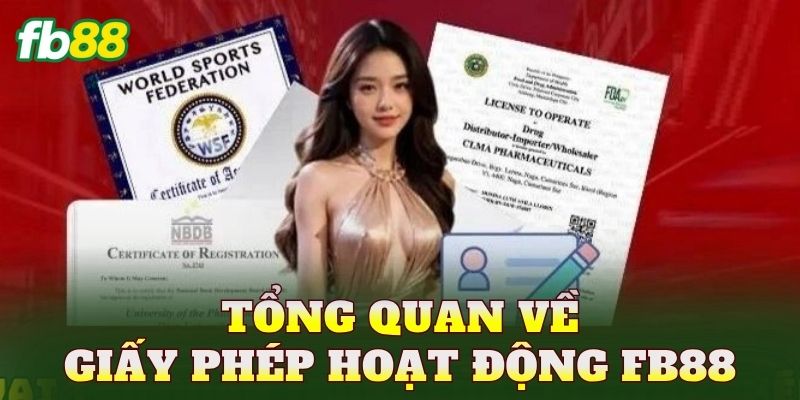 Tổng quan về giấy phép hoạt động FB88