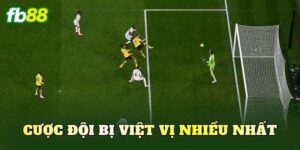 Cược Đội Bị Việt Vị Nhiều Nhất