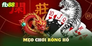 Mẹo Chơi Rồng Hổ