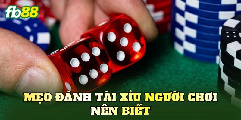 Mẹo đánh tài xỉu người chơi nên biết