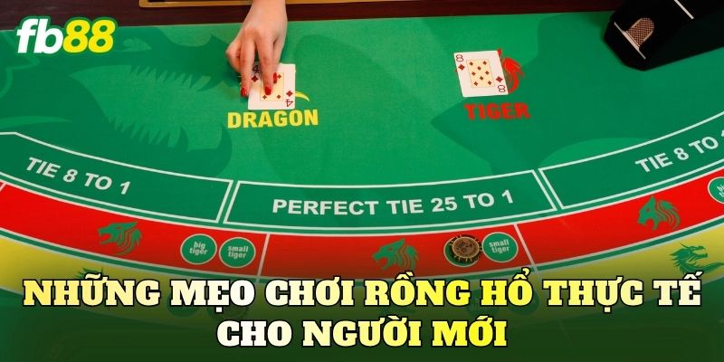 Những mẹo chơi Rồng Hổ thực tế cho người mới