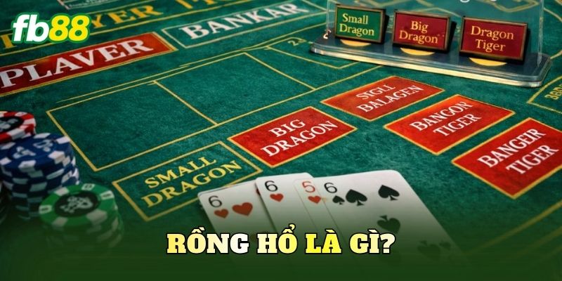 Rồng Hổ là gì?