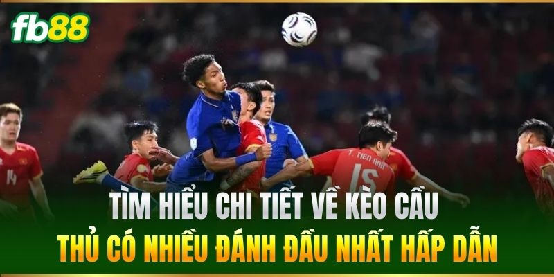 Tìm hiểu chi tiết về Kèo Cầu Thủ Có Nhiều Đánh Đầu Nhất hấp dẫn