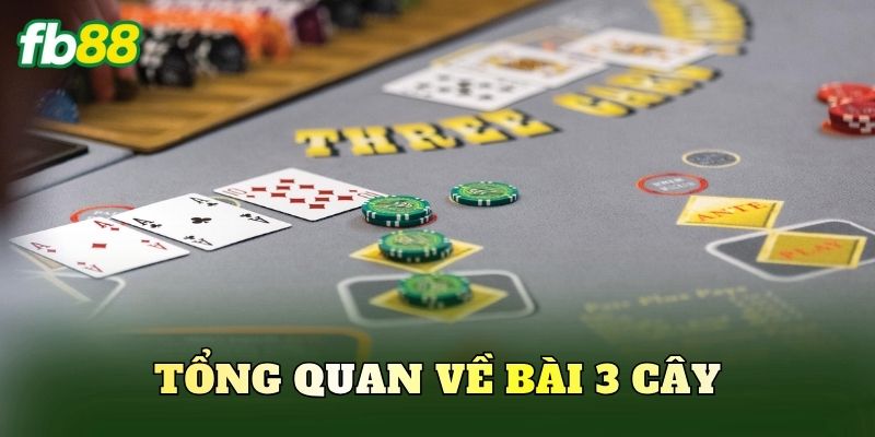 Tổng quan về bài 3 cây