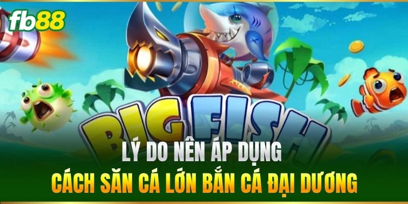Lý do nên áp dụng Cách Săn Cá Lớn Bắn Cá đại dương